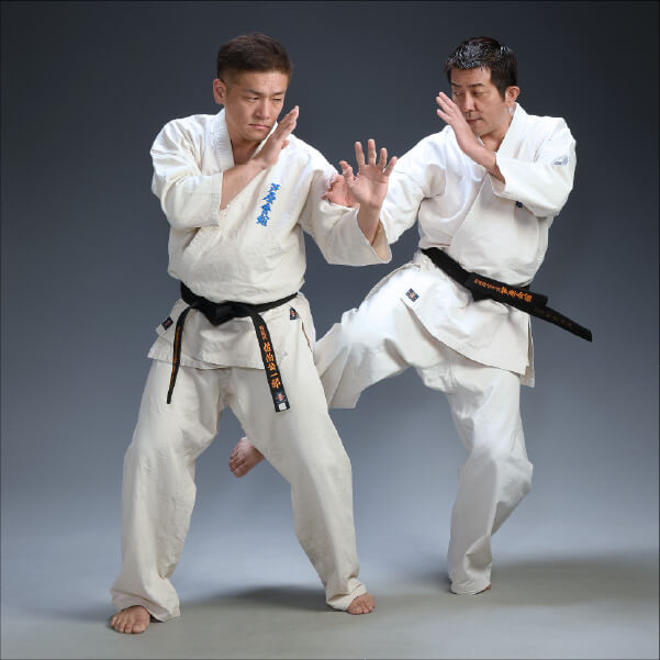 Karate kick defence technique